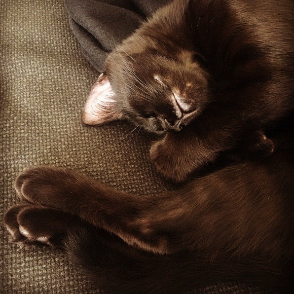 Meet your Posher, Sarah - Picture 1 of 1